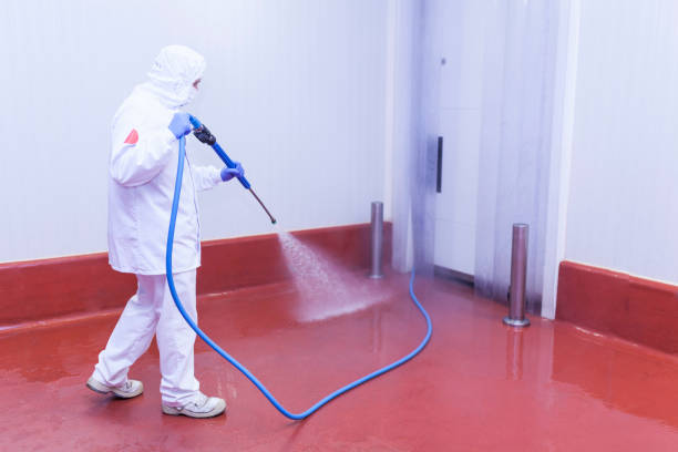 Best Boat and Dock Cleaning  in Sulphur Springs, TX